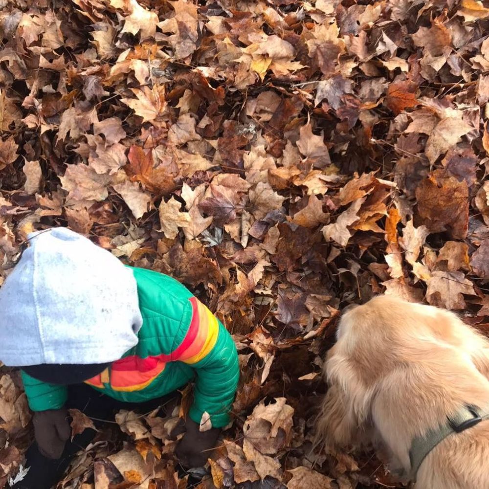 Meet your Posher, Homer